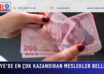 Türkiye’de en çok kazandıran meslekler belli oldu