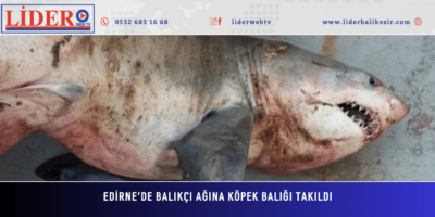 “GAZİLER BU ÜLKENİN TEMİNATIDIR”