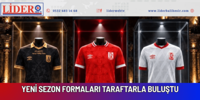 lider web