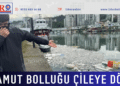Palamut bolluğu çileye döndü