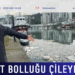 Palamut bolluğu çileye döndü
