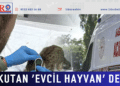 Korkutan ‘evcil hayvan’ detayı