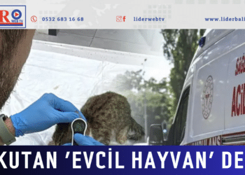 Korkutan ‘evcil hayvan’ detayı