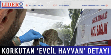 Korkutan ‘evcil hayvan’ detayı