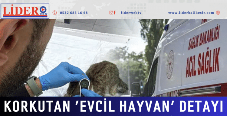 Korkutan ‘evcil hayvan’ detayı