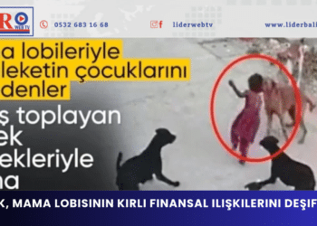 MASAK, mama lobisinin kirli finansal ilişkilerini deşifre etti