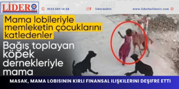 MASAK, mama lobisinin kirli finansal ilişkilerini deşifre etti