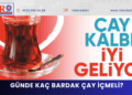 İsveçliler araştırıp yazdı: Çay kalbe iyi geliyor