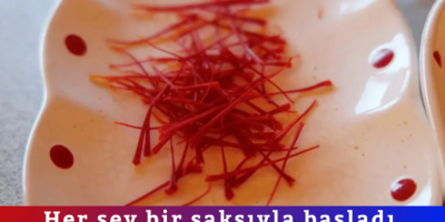 Haber Genel Web Sitesi (6)