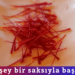 Her şey bir saksıyla başladı